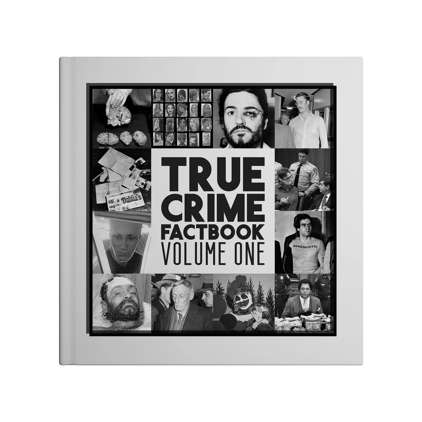 True Crime Factbook (Paperback)